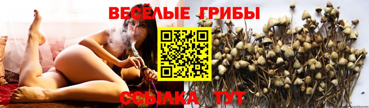 Галлюциногенные грибы мицелий Чистополь